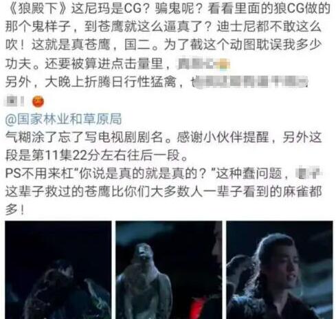 狼殿下剧组虐鹰事件