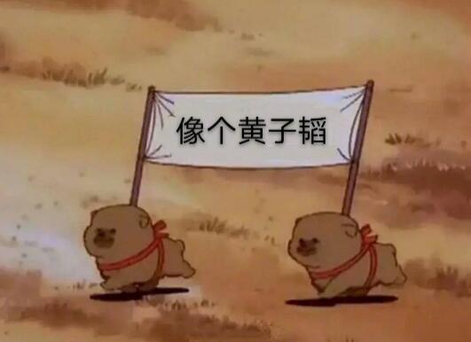 黄子韬要去四川找丁真
