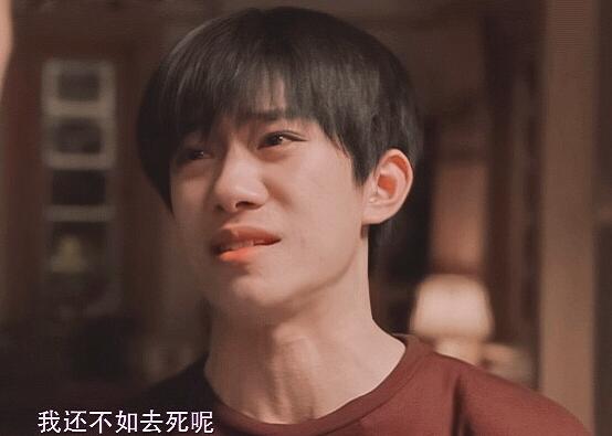 送你一朵小红花有感情戏吗