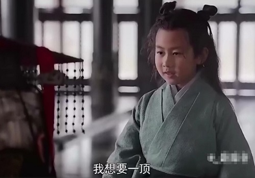 嬴稷和嬴政见过面吗