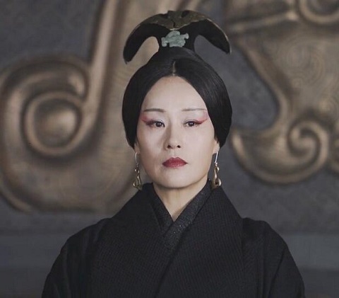 华阳夫人为什么没有孩子