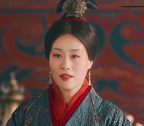 华阳夫人为什么没有孩子