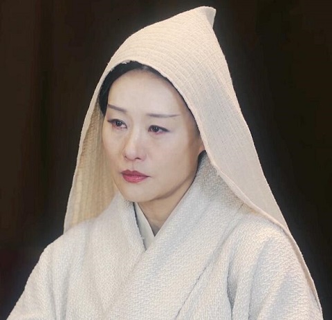 华阳夫人为什么没有孩子