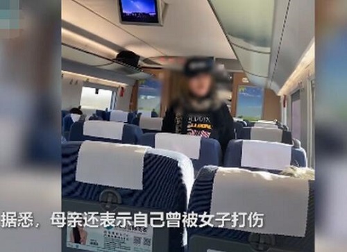 女子高铁辱骂母亲后弃母下车