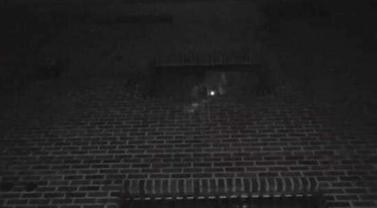 素媛案罪犯打手电筒观察抗议者