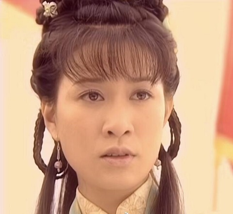 长平公主的真实历史