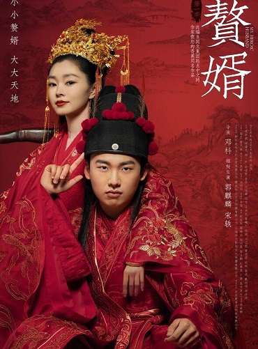 赘婿是什么小说改编的
