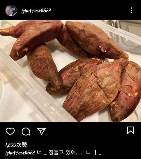 红薯夫妇十年之约是什么时候