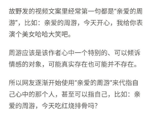 亲爱的周游是什么意思