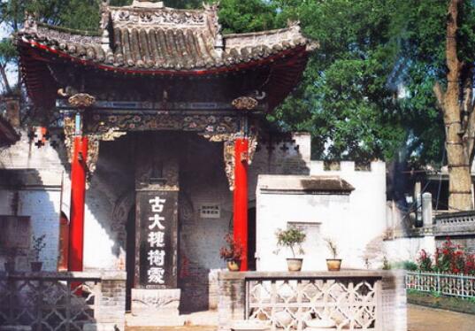 为什么山西大槐树移民脚指甲两瓣