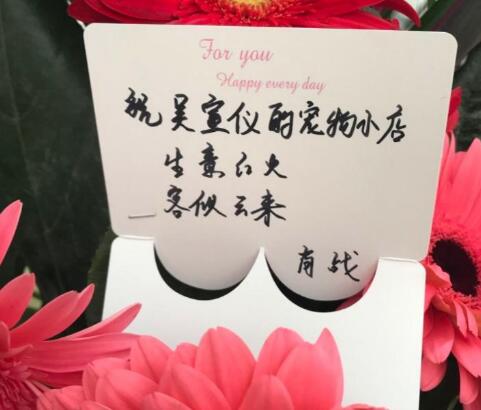 肖战和吴宣仪是男女朋友关系吗