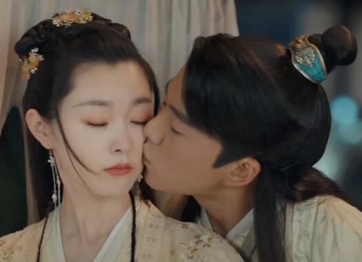 赘婿中武朝是什么朝代
