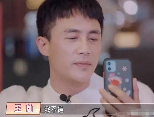 杜淳老婆王灿个人资料简介