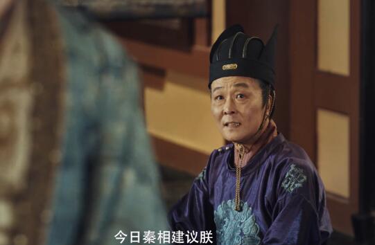 赘婿武朝灭亡了吗