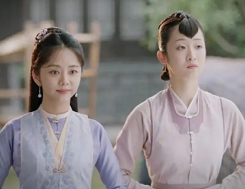 锦心似玉冬青是好是坏