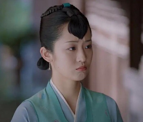 锦心似玉冬青是好是坏